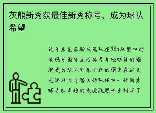 灰熊新秀获最佳新秀称号,成为球队希望